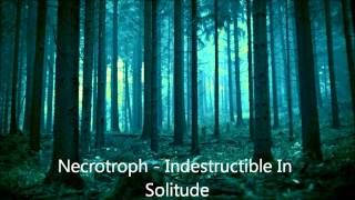 Necrotroph - Indestructible In Solitude