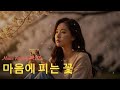 마음에 피는꽃 감성 발라드 사랑의 그리움 7080발라드 AIIN 아인