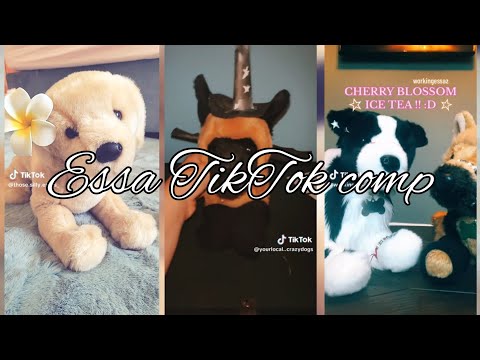 Essa TikTok comp (no clips are mine!)