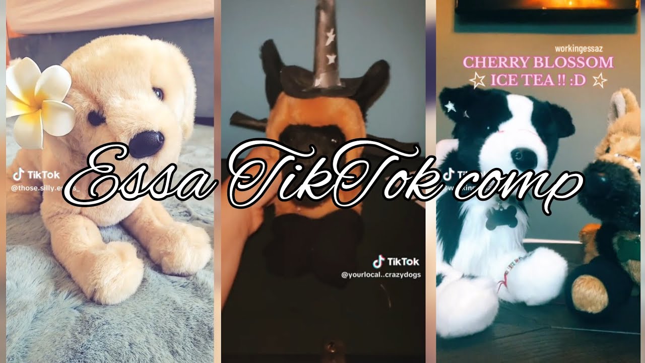 Essa TikTok comp (no clips are mine!) - YouTube