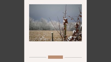 Pulsating Serene December