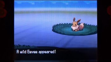 How to Catch Eevee - Pokemon Black 2 and White 2
