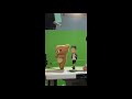 Sweets! Sweets! Sweets! | Rilakkuma's Theme Park Adventure | Netflix Anime