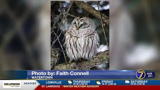 Send it to 7 Pics of the Week