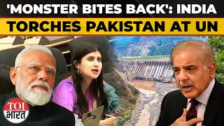 India Slams 'Frankenstein' Pak, Says 'Exporting Terror Has Costs', Calls Indus Waters Treaty Outd...