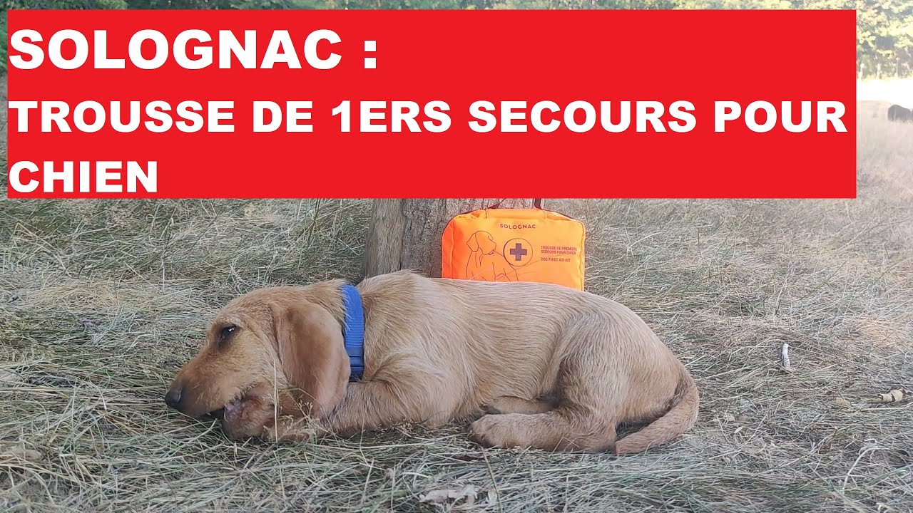 TROUSSE DE 1ERS SECOURS POUR CHIEN DE CHEZ SOLOGNAC 🇫🇷 2'JEAN'S 🇫🇷 