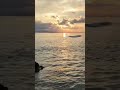 Surise at Neil Island Beach , 18 AQI 😍 #aqi #magicalnature #beautyofnature #andaman #travel