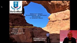 Dr Guerra of VerEvMed Articulates Sphingolipid Diaeventontology in Pro-dromal Alzheimer's Disease
