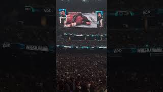 Roman vs Punk Fan Reaction