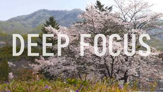 Spring Sakura Garden: 2 Hours Sakura Ambience for Study, Coding & Relaxation
