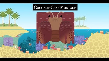 Deeeep.io Coconut Crab Montage