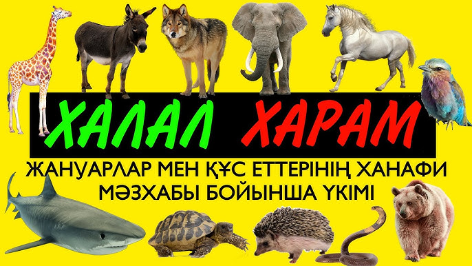 Қыздардың жұлқысы мен жігіттердің каммингінің жинағы