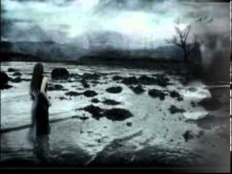 محمد منير حد عايز قلب فاضى