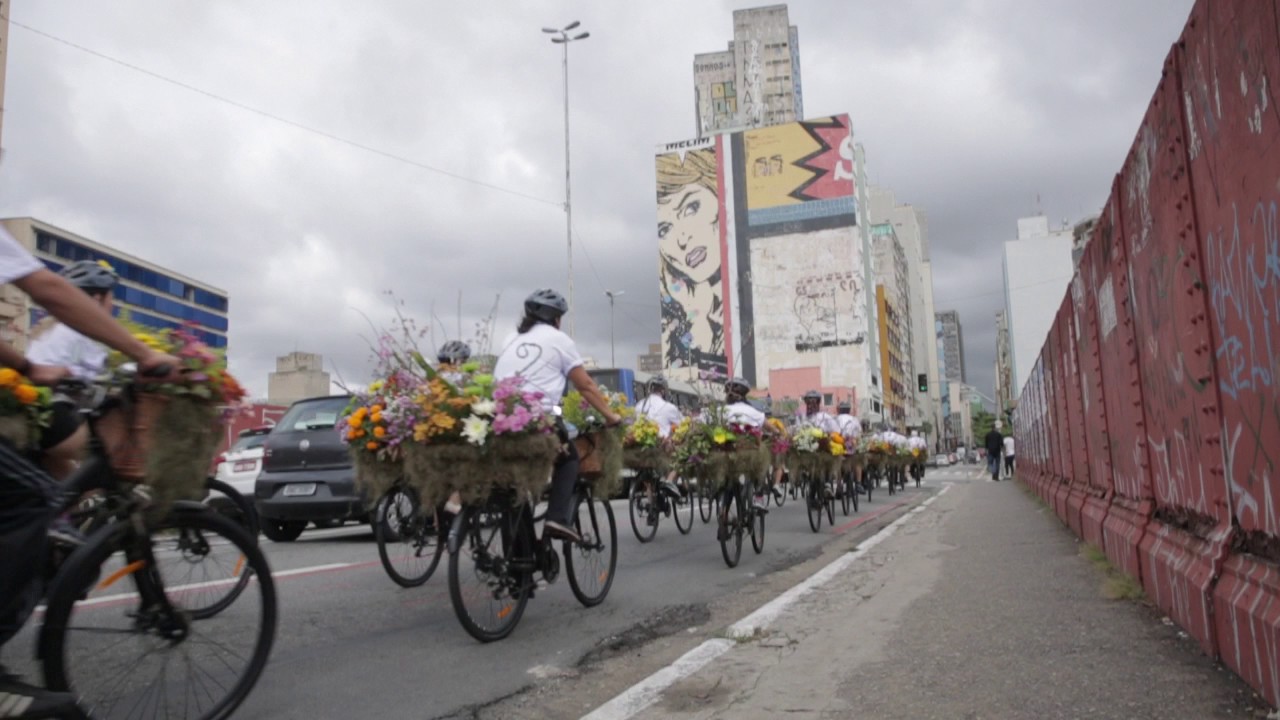 FLOWER MESSENGER POR MAKOTO AZUMA // LUZ