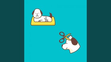 Pulsating Music for Your Perfect Pooch