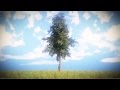 growing tree animation