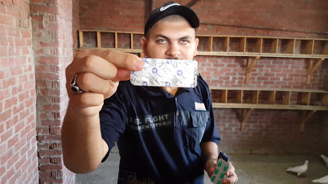 اقوى علاج للبيض البرشت والبيضه الواحده ونقص الكالسيوم للحمام وطريقه الاستخدام