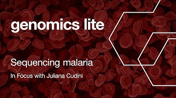 Genomics Lite: Sequencing Malaria in Focus