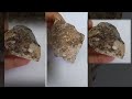 نيزك بريشيا نيزك قمري نادر أهم خصائصه ومميزاته Brescia Lunar Meteorites