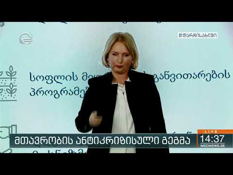 მთავრობის ანტიკრიზისული გეგმა