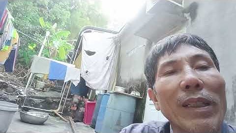 Ngãi đen và ngãi chống độc mới đào đt 0358117393