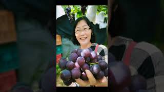 馬來西亞好友~幸福之旅💞💞💞