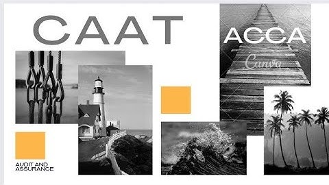 Unleashing the Power of CAAT in Audit and Assurance | ACCA | Apple School of Knowledge