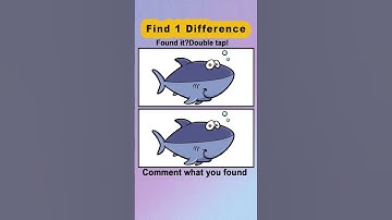 Puzzle Game. One Difference. Can You Spot?