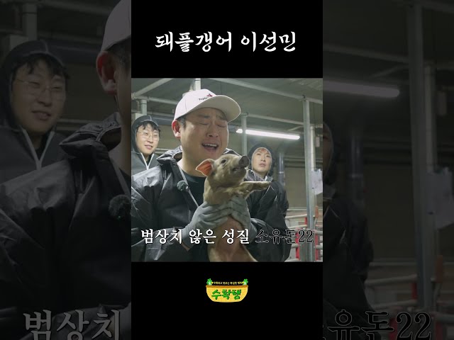 돼플갱어 이선민