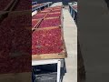 Аромат этой 🍓 просто не передать