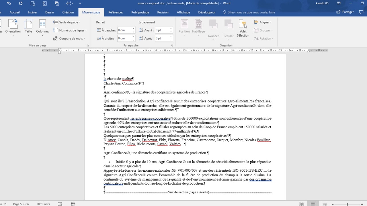 r-aliser-des-sections-dans-word-youtube