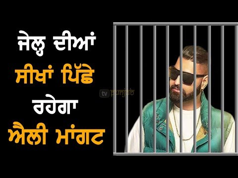 Elly Mangat ਨੂੰ ਅਦਾਲਤ ਨੇ ਭੇਜਿਆ Jail | TV Punjab