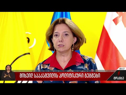 მიხეილ სააკაშვილის პოლიტიკური გეგმები