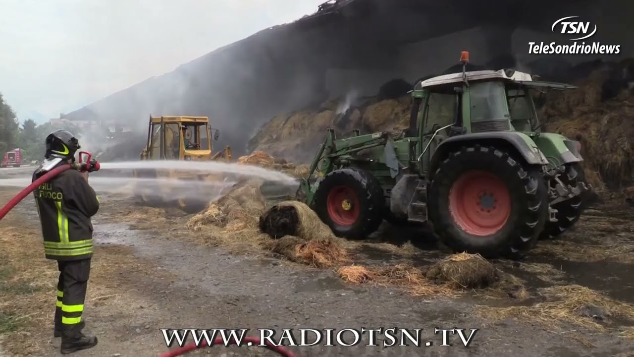 Cosio. Brucia una stalla, salvi 800 bovini