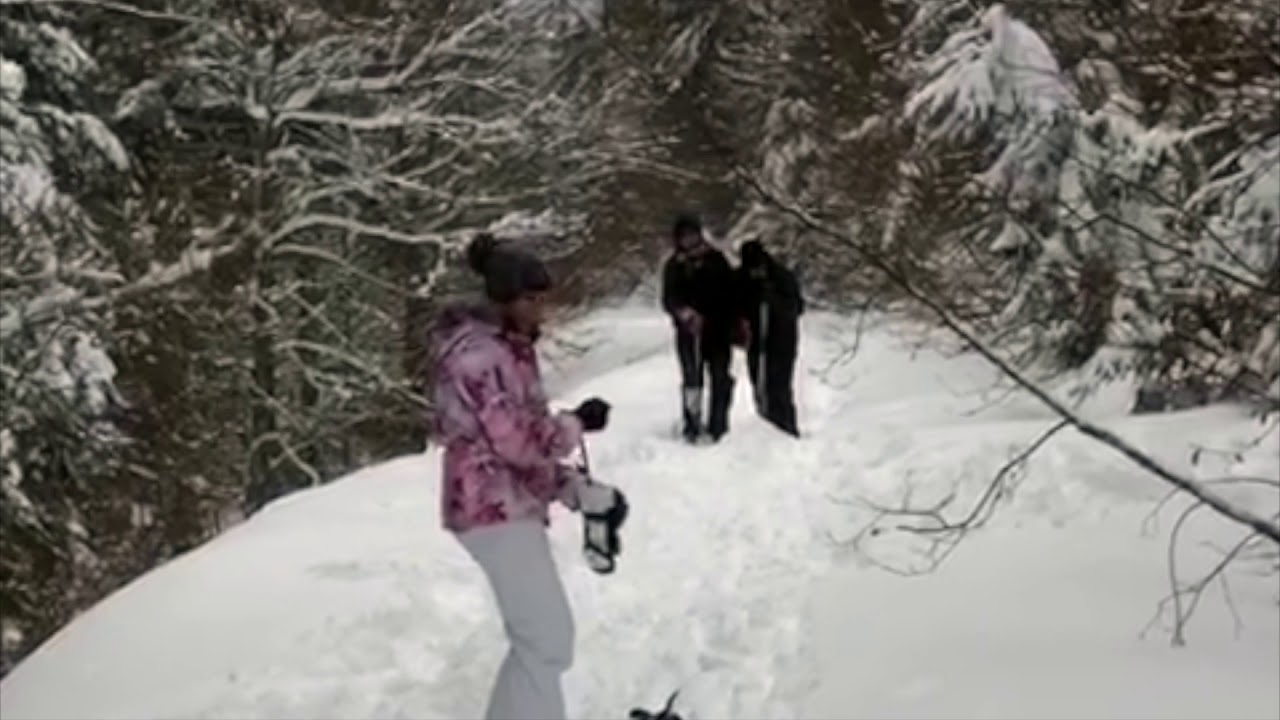 Caught in a bear trap YouTube