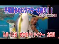 9月12日　佐世保 【FⅠ】ナイター　～ S級・A級・ガールズ ～　ニッカン・コム杯　2日目