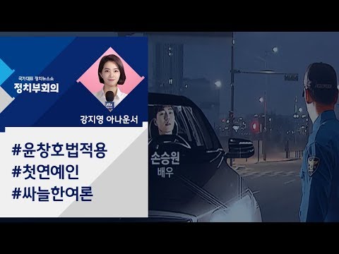 [강지영 Talk쏘는 정치] '윤창호법 적용' 첫 연예인 손승원