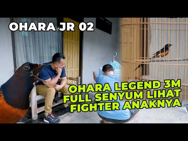 TRAH MEMANG TAK BISA BOHONG, OHARA JR 02 WARISI FIGHTER BAPAKNYA!!! class=