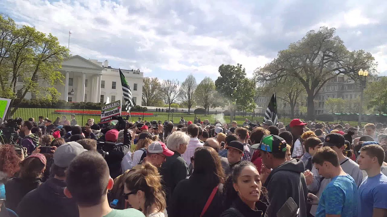 Marijuana Washington DC Reschedule Rally - April 2, 2016 - White House Weed 420