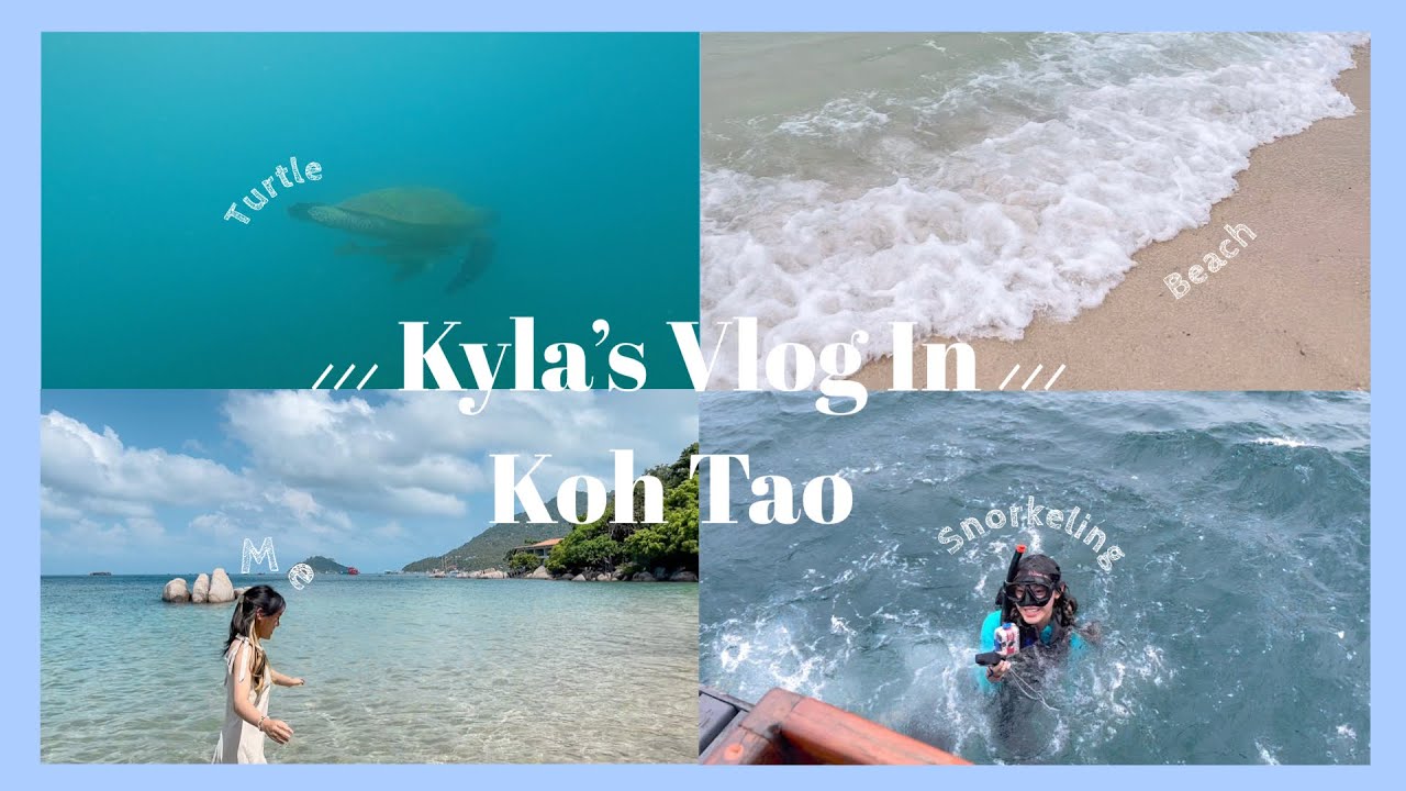 Koh Tao Vlog 🐋🐠 | เที่ยวเกาะเต่าครั้งแรก! , ดำน้ำดูปะการัง / KylaCGM48