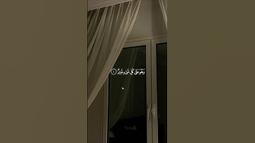 القارئ : سالم الرّويلي