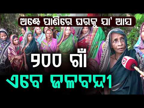 ଅଣ୍ଟେ ପାଣିରେ ଘରକୁ ଯା' ଆସ | Balasore Flood Update | Over 200 Villages Waterlogged | Argus News