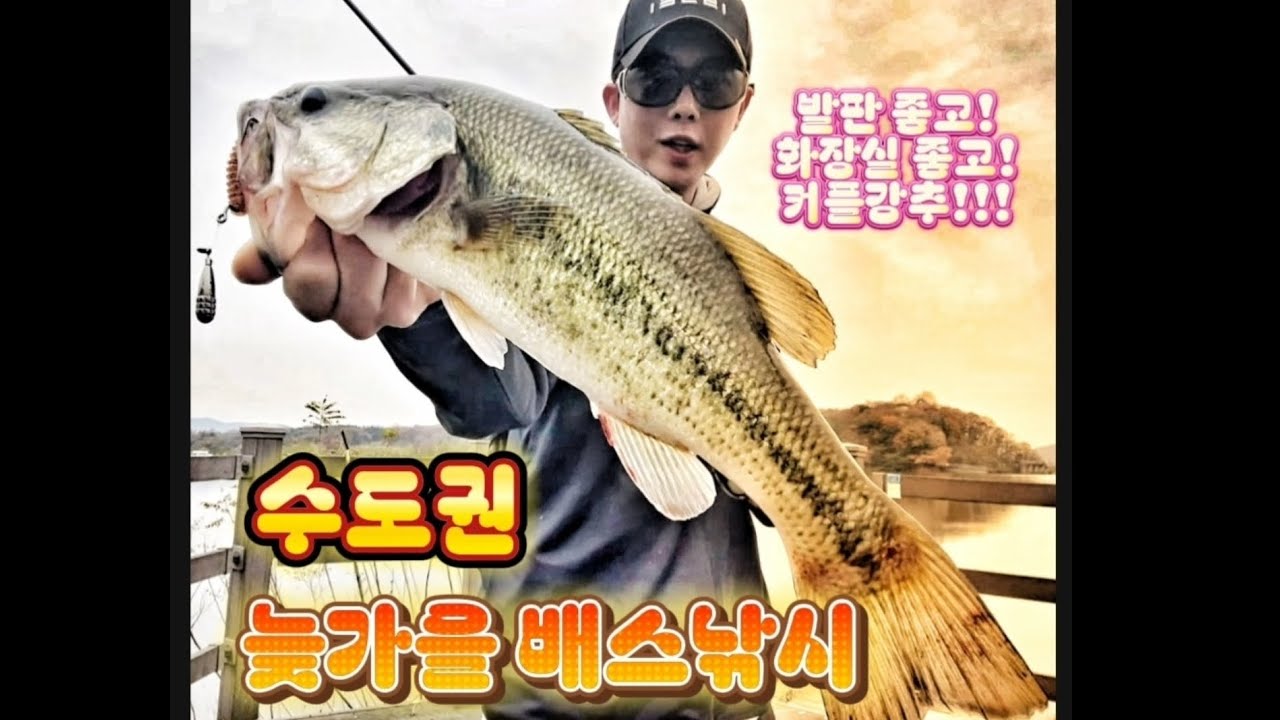 서울에서 가까운 수도권 배스포인트 #bassfishing #배스낚시 #낚시 #피쉬맥스 #기간이즘