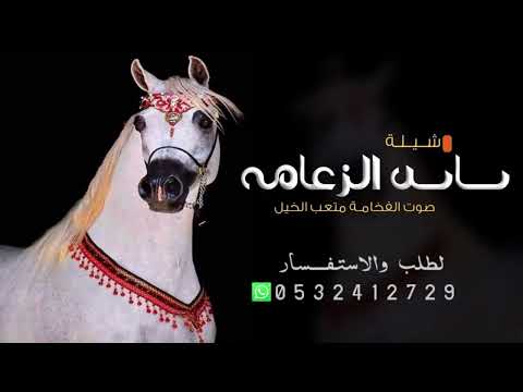 افخم شيلة ساس الزعامه 2024 اداء صوت الفخامة متعب الخيال 