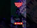 Humming King of World – Zubeen Garg Best Humming | Assam Legend #shorts #zubeengarg #assamese