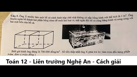 Liên Trường Nghệ An: Ông X muốn làm một bể cả cảnh hình hộp chữ nhật không có nắp bằng kính với thể