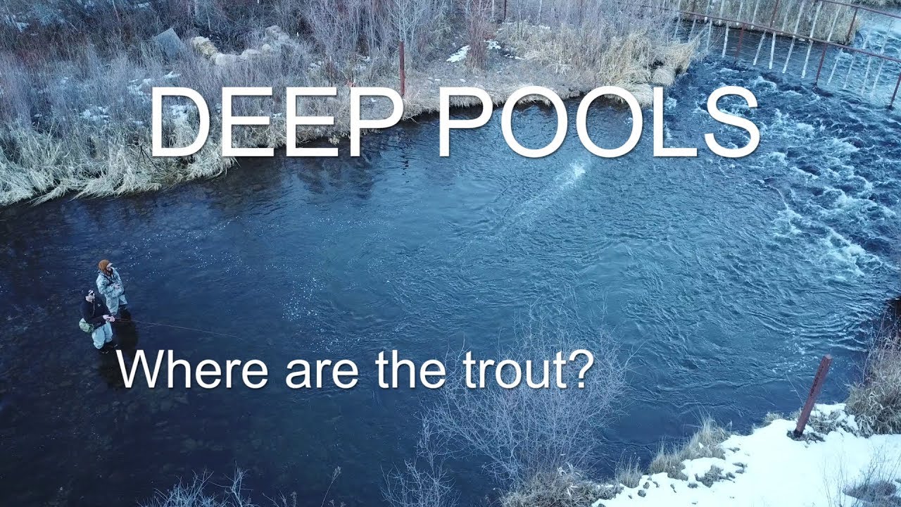 Winter fly fishing tips for trout (2018) Vlog 19 YouTube