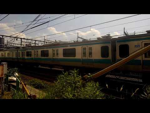 E 233系1000番台京浜東北線大宮入線