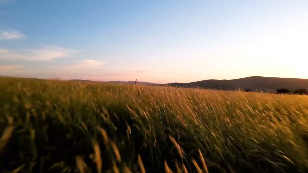 Tranquil Nights – Long Relaxing Instrumental Music for Sleep & Meditation