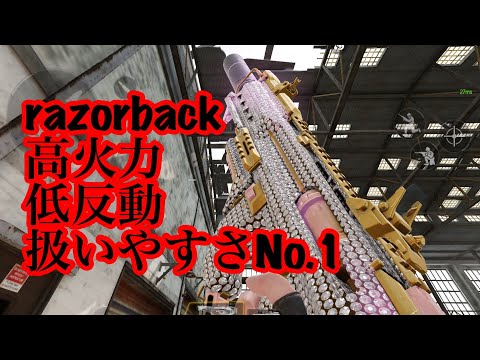 【CoDモバイル】razorback 愛銃はレジェンド帯でも舞える！　(カスタム概要欄)